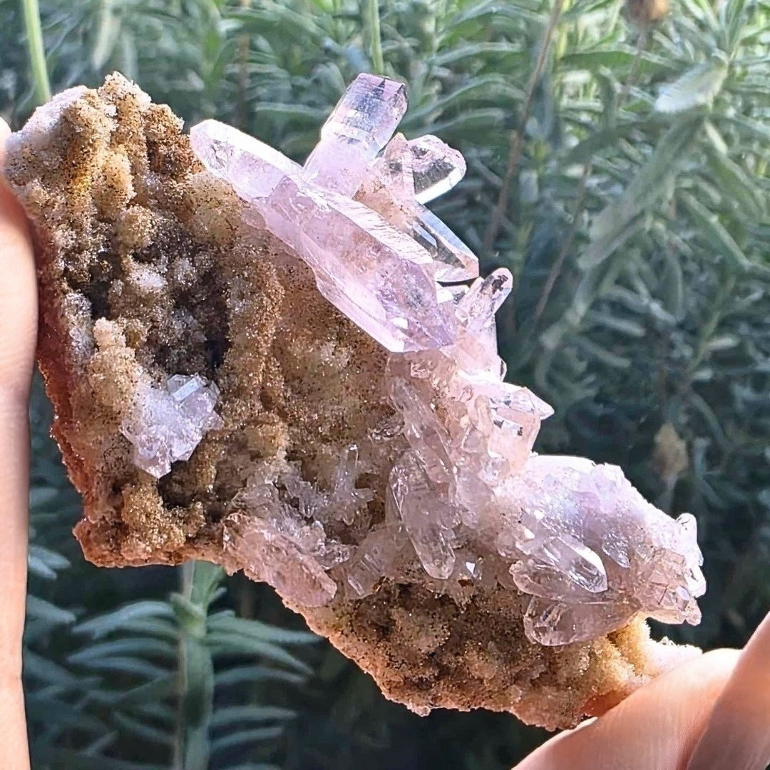 Rare Medium Vera Cruz Amethyst Cluster - 7cm