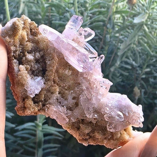 Rare Medium Vera Cruz Amethyst Cluster - 7cm