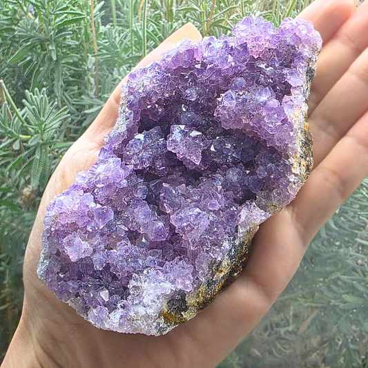Genuine Flower Amethyst Cluster - 236g