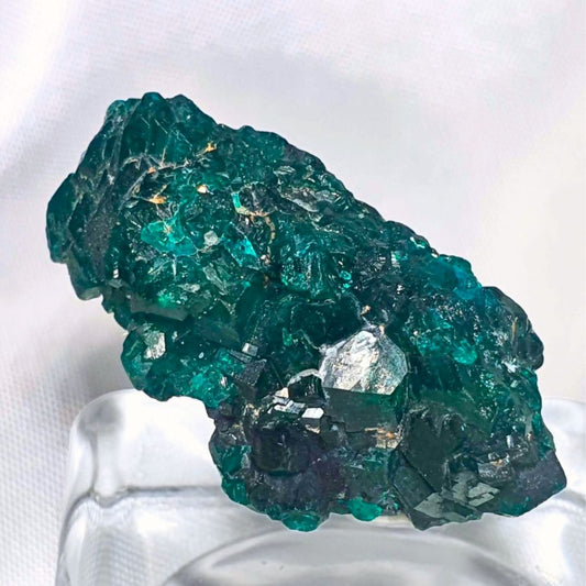 Dioptase Crystal Specimen - Congo