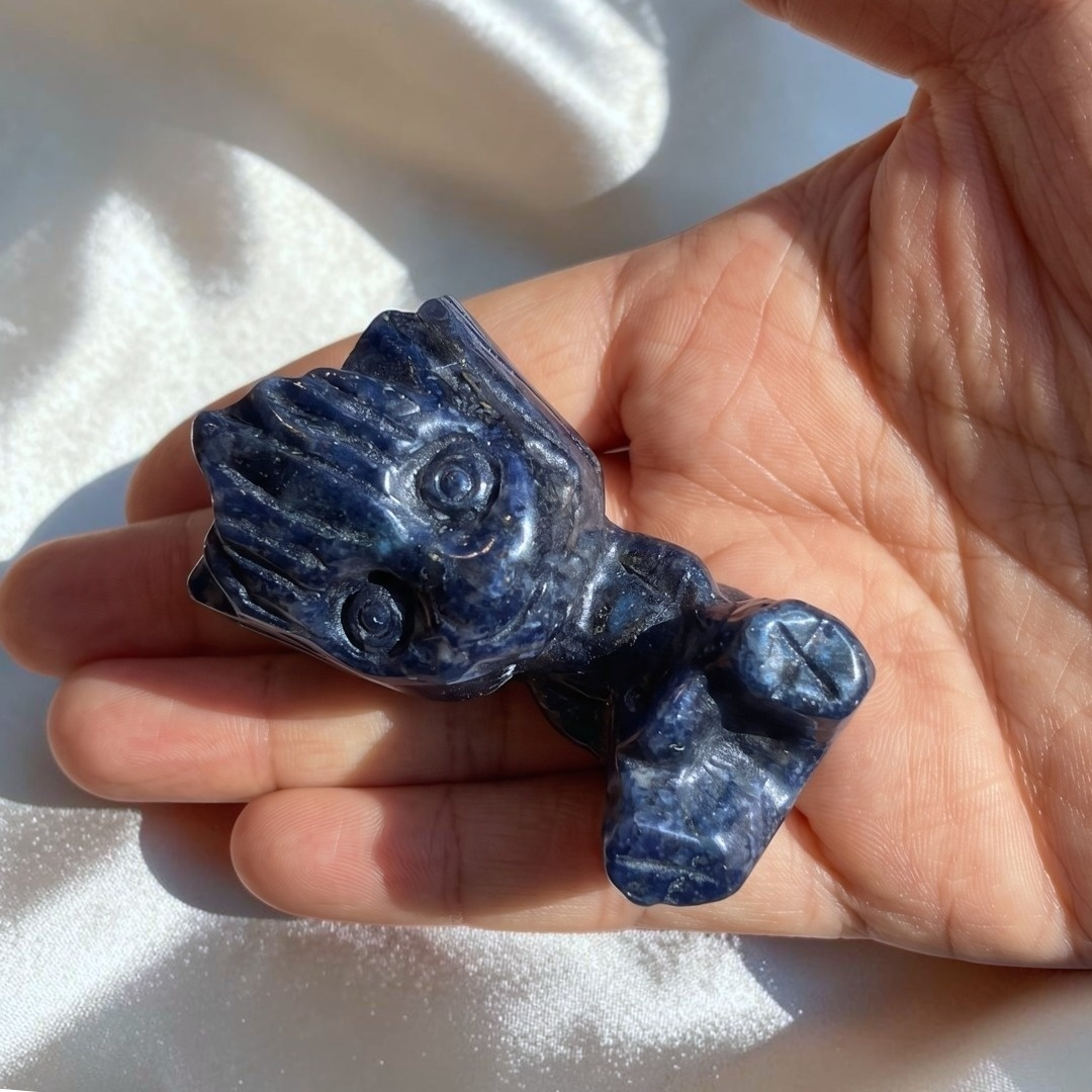 Medium Sodalite Groot Carving