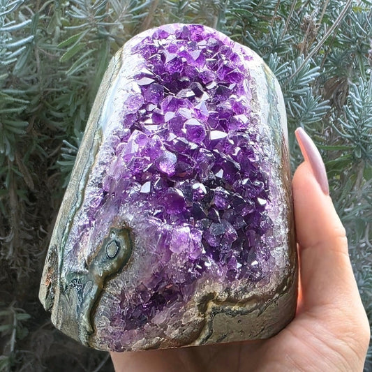 A-Grade Brazilian Amethyst with Stalactite Eye | 822g - Cut-Base Crystal