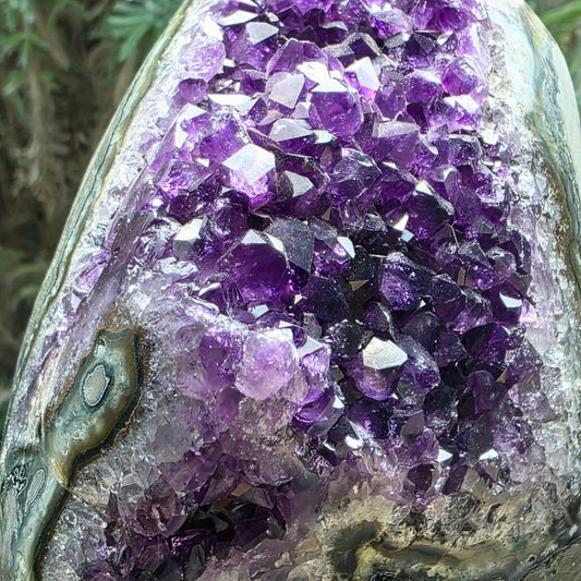 A-Grade Brazilian Amethyst with Stalactite Eye | 822g - Cut-Base Crystal