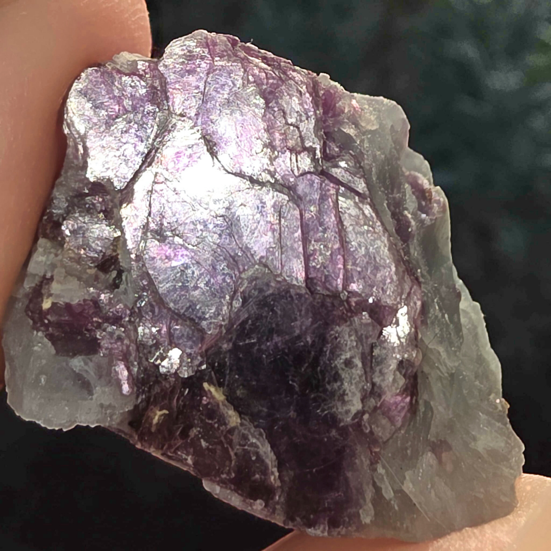 Lepidolite, Quartz & Mica Cluster