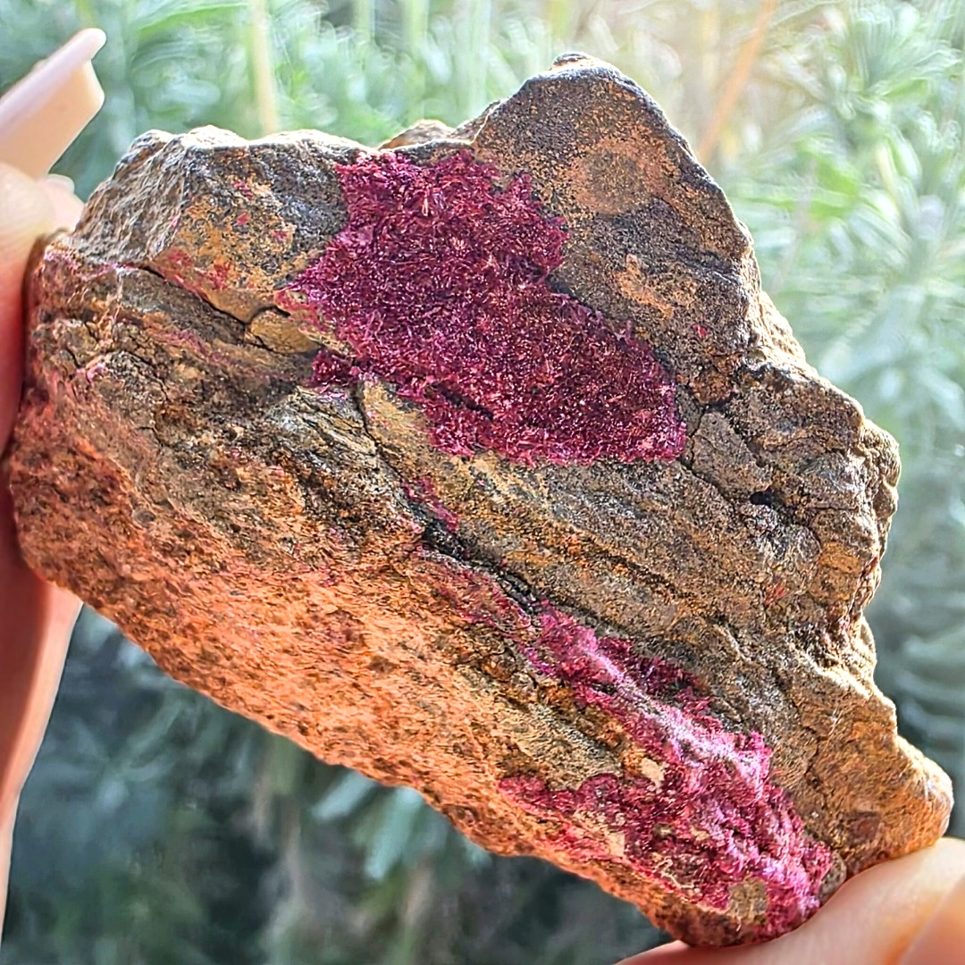 Rare Pink Erythrite Cluster