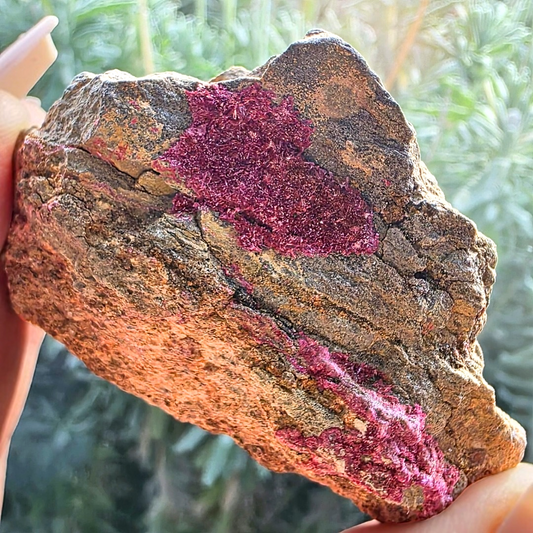 Rare Pink Erythrite Cluster