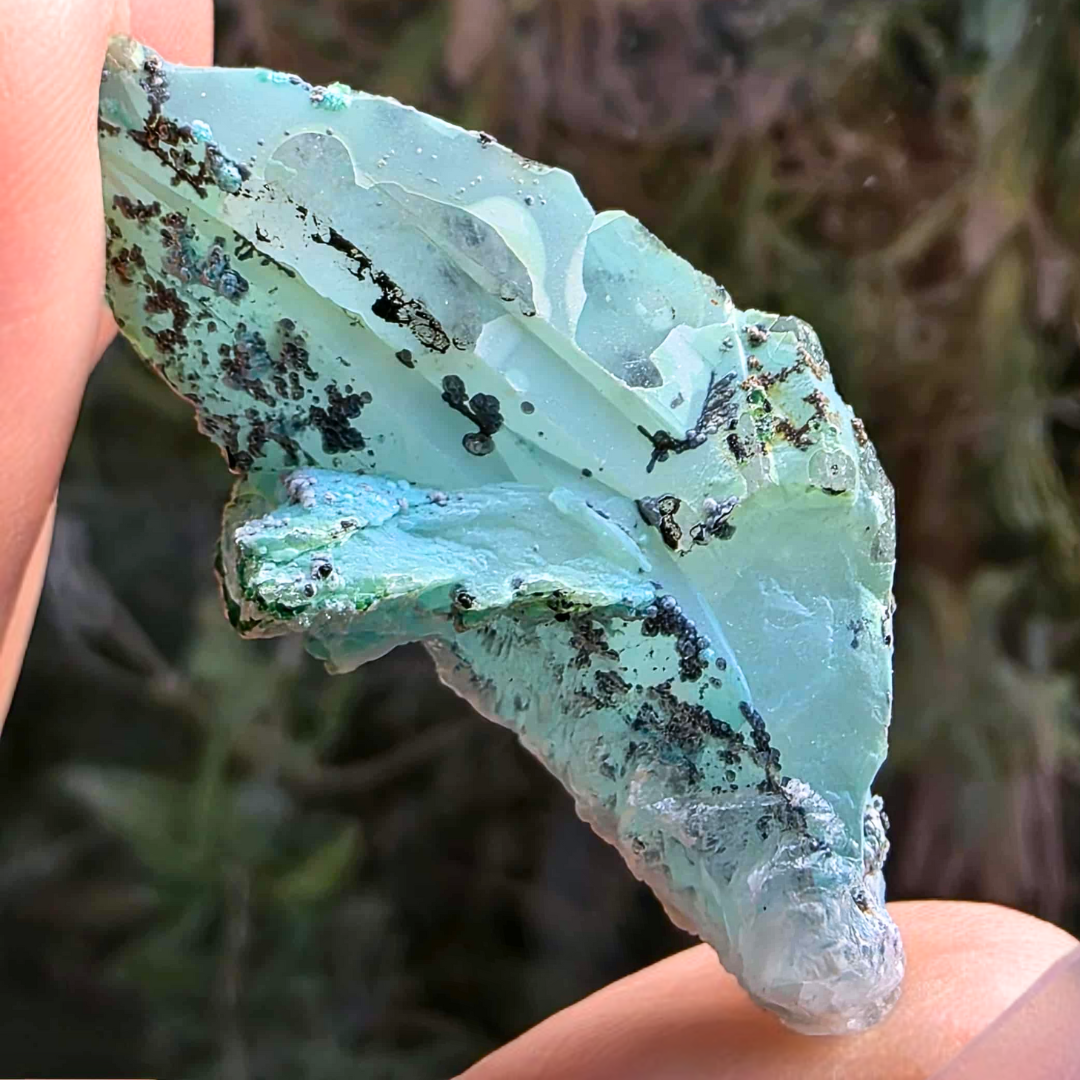 Rare Silica Chrysocolla & Malachite covered Clear Quartz - DR Congo