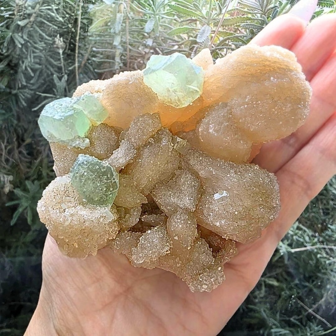 Large Stilbite with Sugar Green Cubic Apophyllite Cluster - 205g