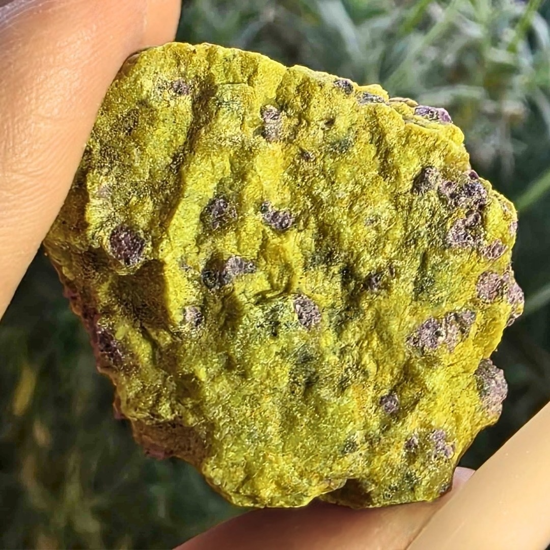 Atlantisite (Serpentine with Stichtite) Cluster - Tasmania