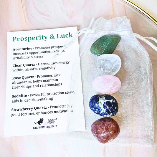 Luck & Prosperity Crystal Tumble Kit
