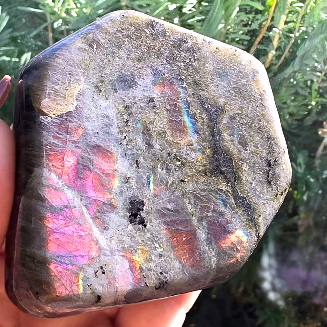 Grey Labradorite Freeform with Golden-Pink Flash - 240g