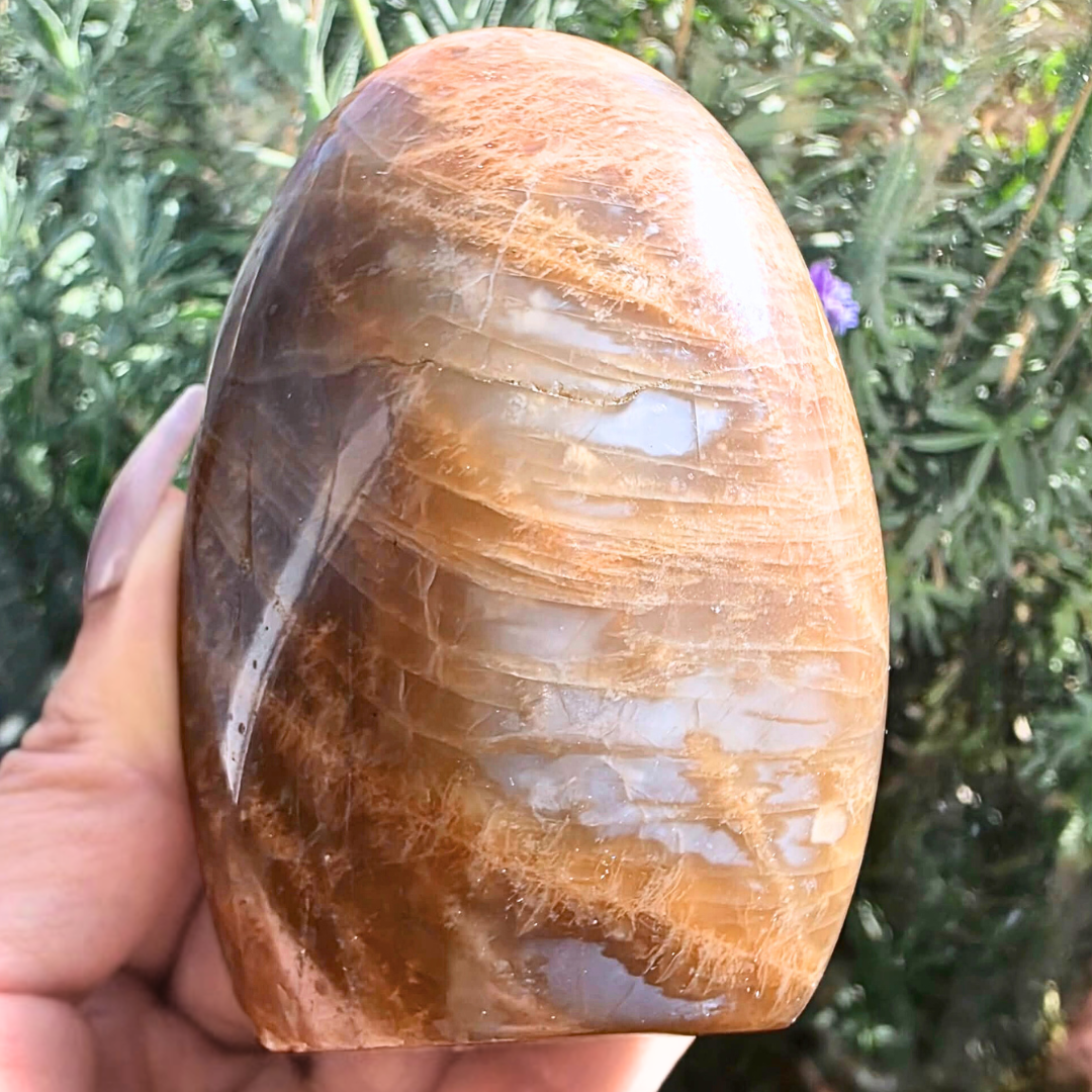 High Flash Peach Moonstone & Smoky Quartz Freeform - 244g