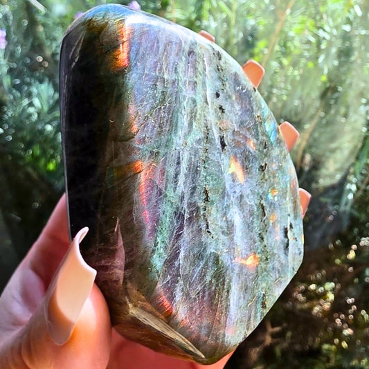 Labradorite Crystal Freeform with Golden-Pink Flash - 240g