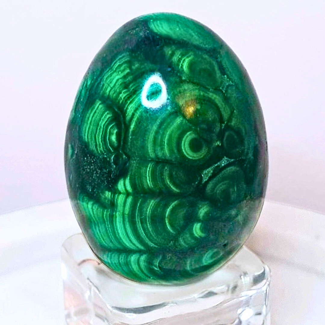 High Grade Malachite Hand Carved Egg Crystal - Congo