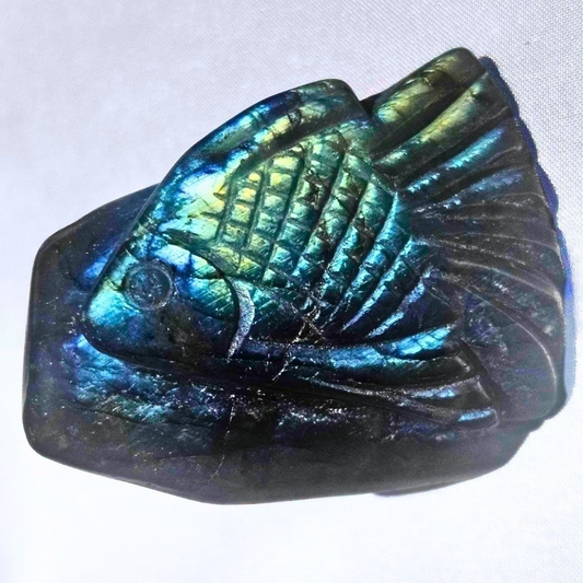 High Grade Labradorite Fish Carving with Sunset Blue Flash