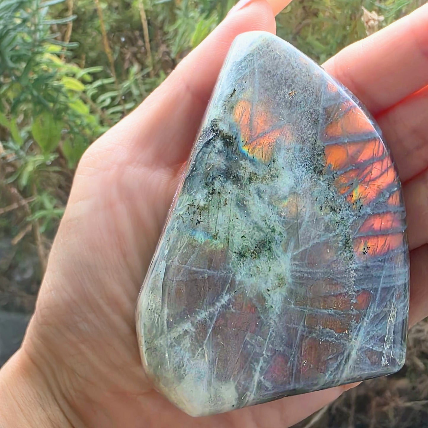 High Grade Pink Purple Flash Labradorite Freeform - 239g - Madagascar