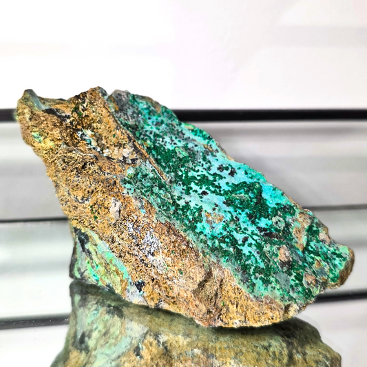 Druzy Malachite & Chrysocolla (Malacolla) Crystal Cluster - 170g | DRC