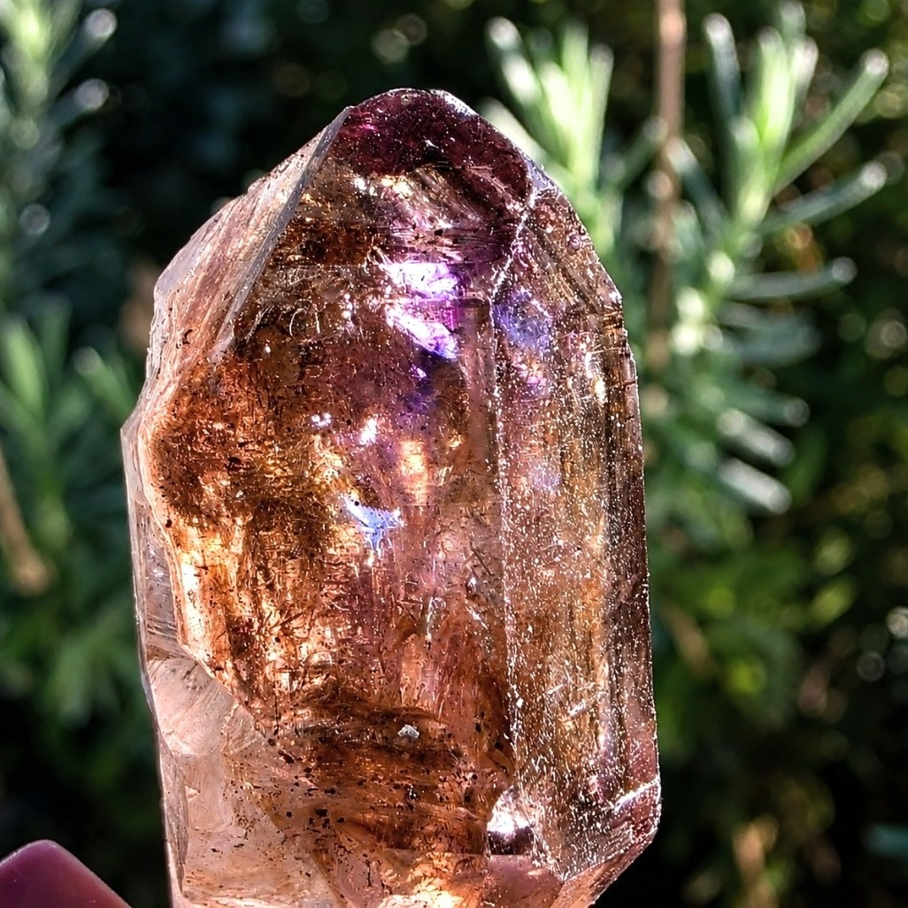 Rare Super Seven (Melody Stone) Crystal Sceptre - Brazil