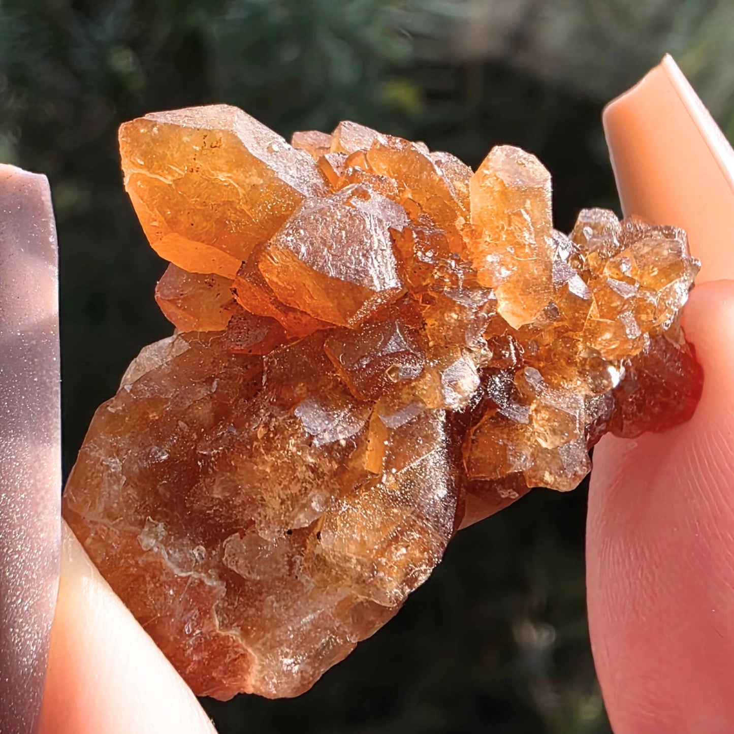 Natural Citrine Crystal Cluster (Hematote Quartz) - Morocco