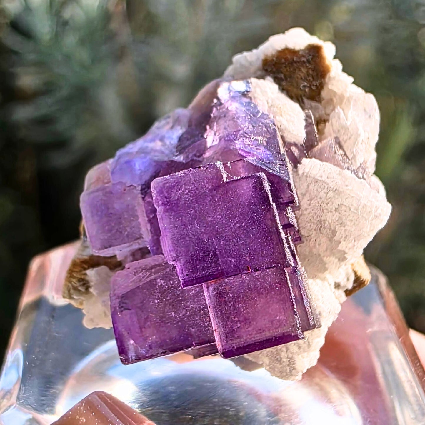 Fluorite on matrix from Xinjiang with stepped cubic purple crystals and visible colour zoning, mineral specimen display piece - cats love crystals australia