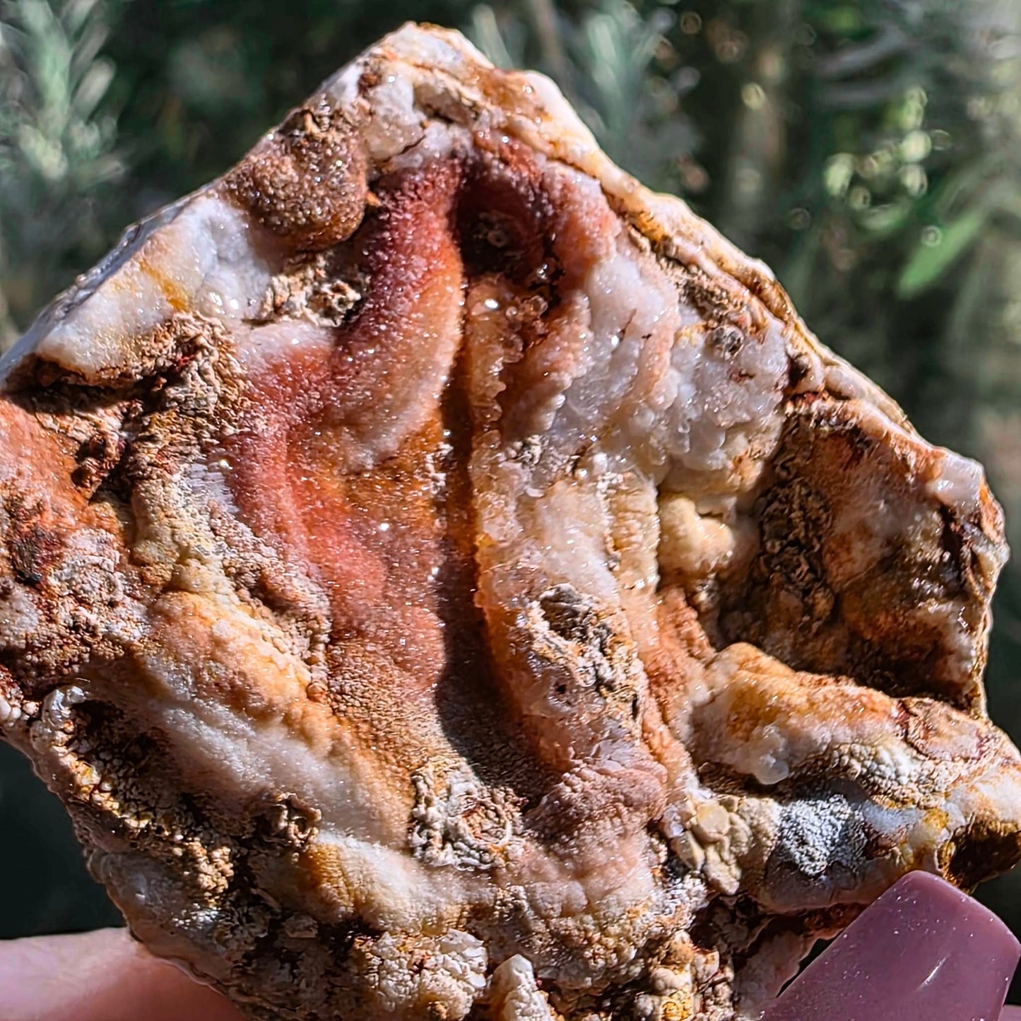 Pink chalcedony freeform from Mexico with layered coral tones and druzy crystal cavities
