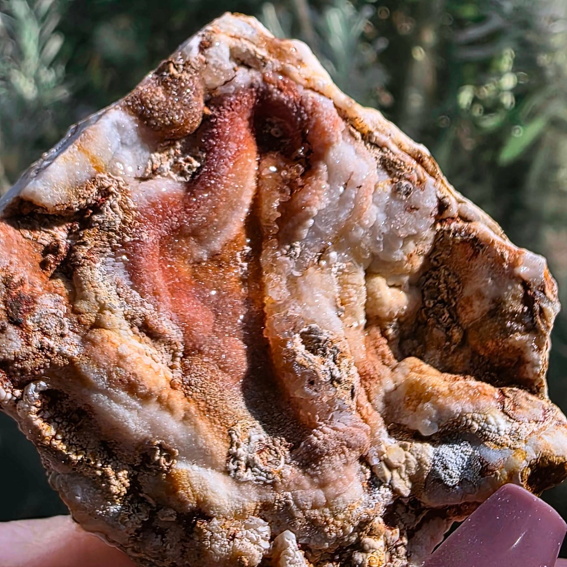 Pink chalcedony freeform from Mexico with layered coral tones and druzy crystal cavities