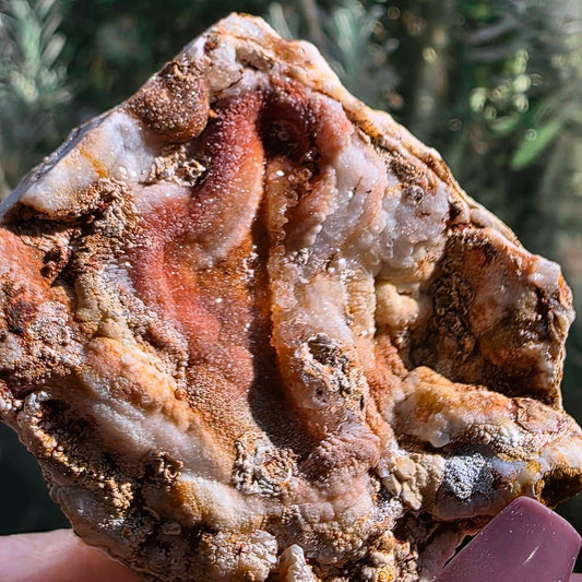 Pink chalcedony freeform from Mexico with layered coral tones and druzy crystal cavities