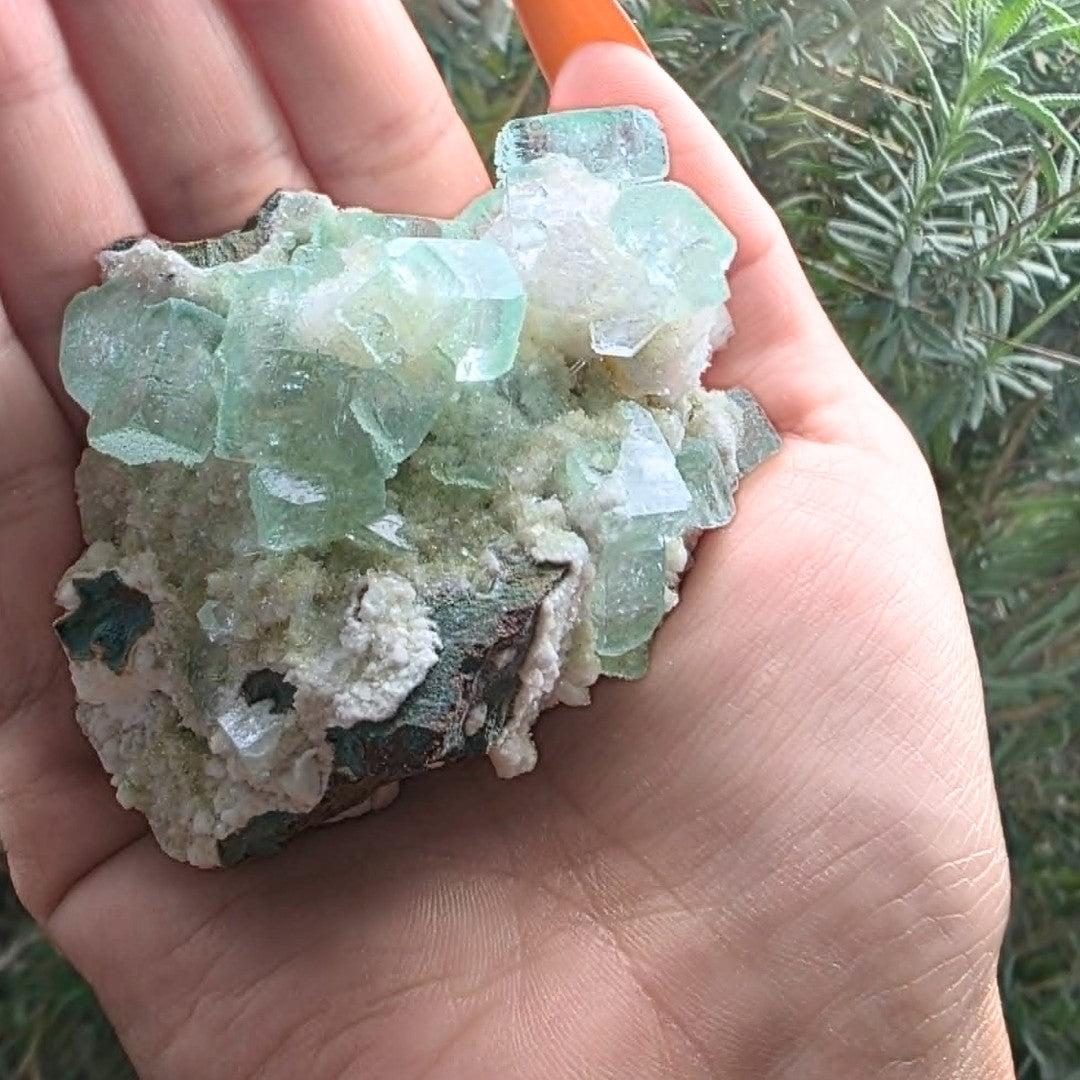 High Grade Glassy Green Apophyllite on Druzy Stilbite Cluster - 100g