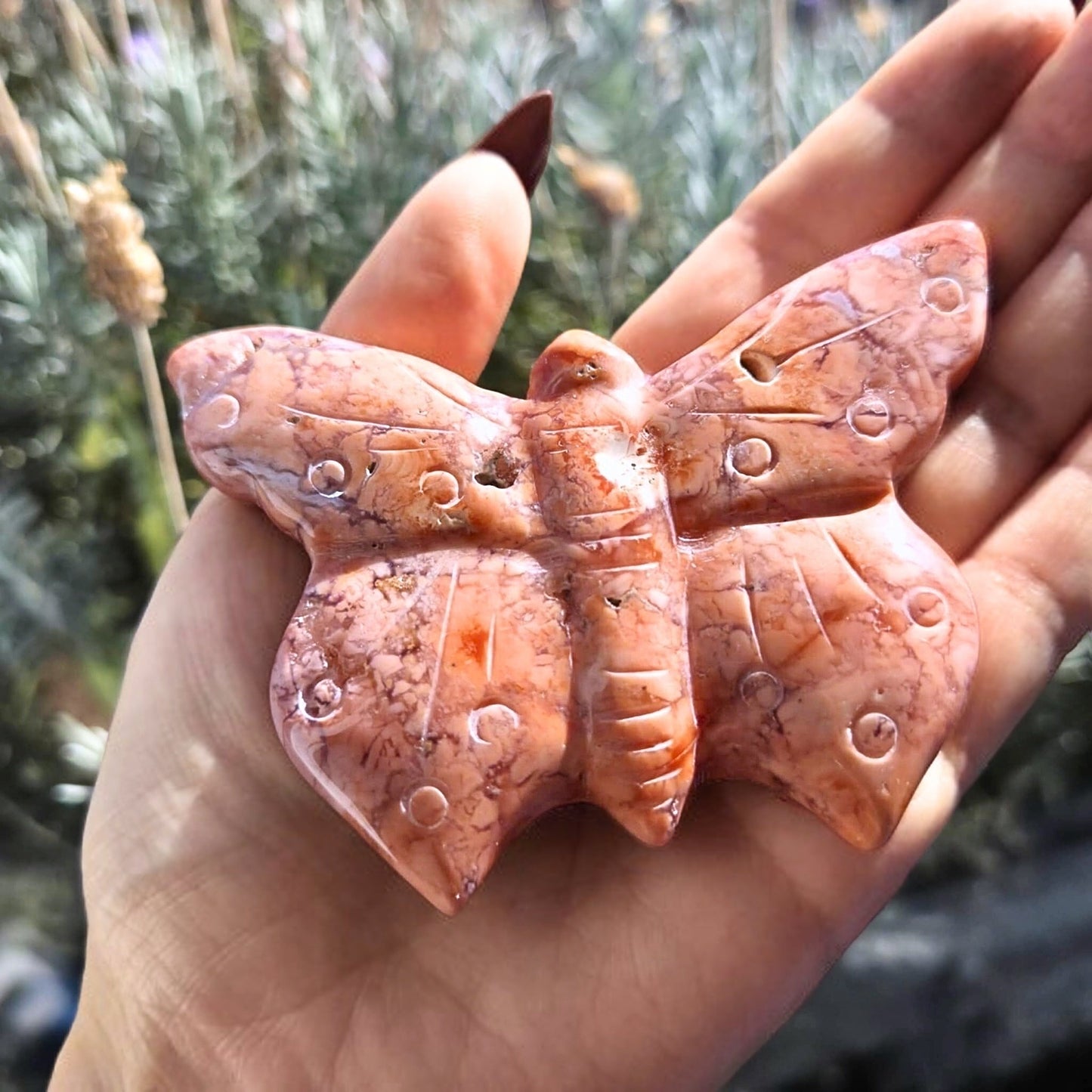 Druzy Pink Petal Agate (Cotton Candy) Butterfly Carving - includes stand