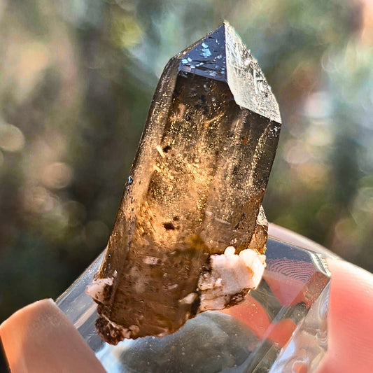 Wave Hill Smoky Quartz with Goethite on Calcite Specimen