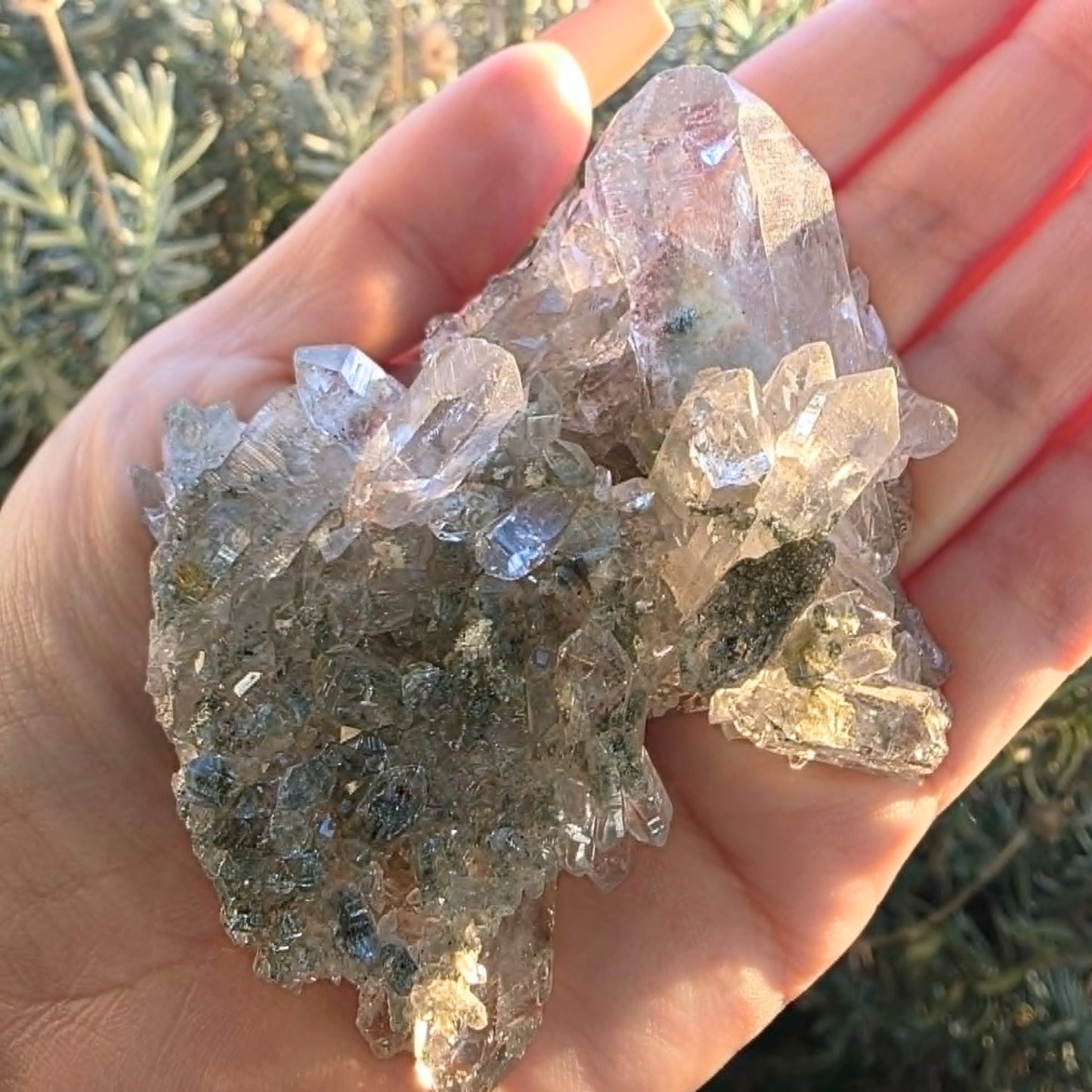 Rare Faden Garden Quartz Cluster with Chlorite & Rainbows