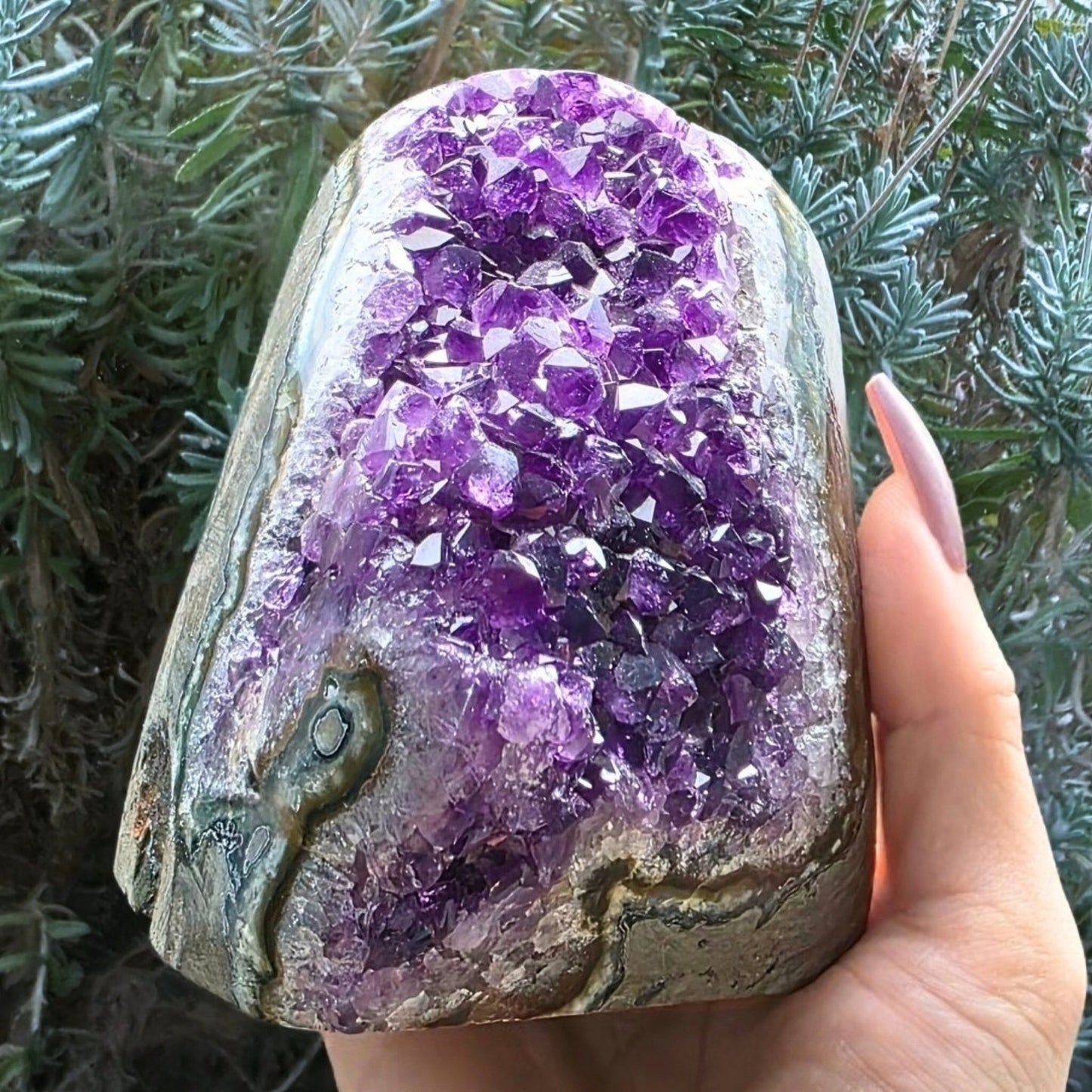 A-Grade Brazilian Amethyst with Stalactite Eye | 822g - Cut-Base Crystal