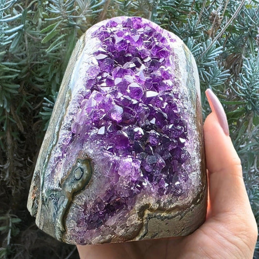 A-Grade Brazilian Amethyst with Stalactite Eye | 822g - Cut-Base Crystal