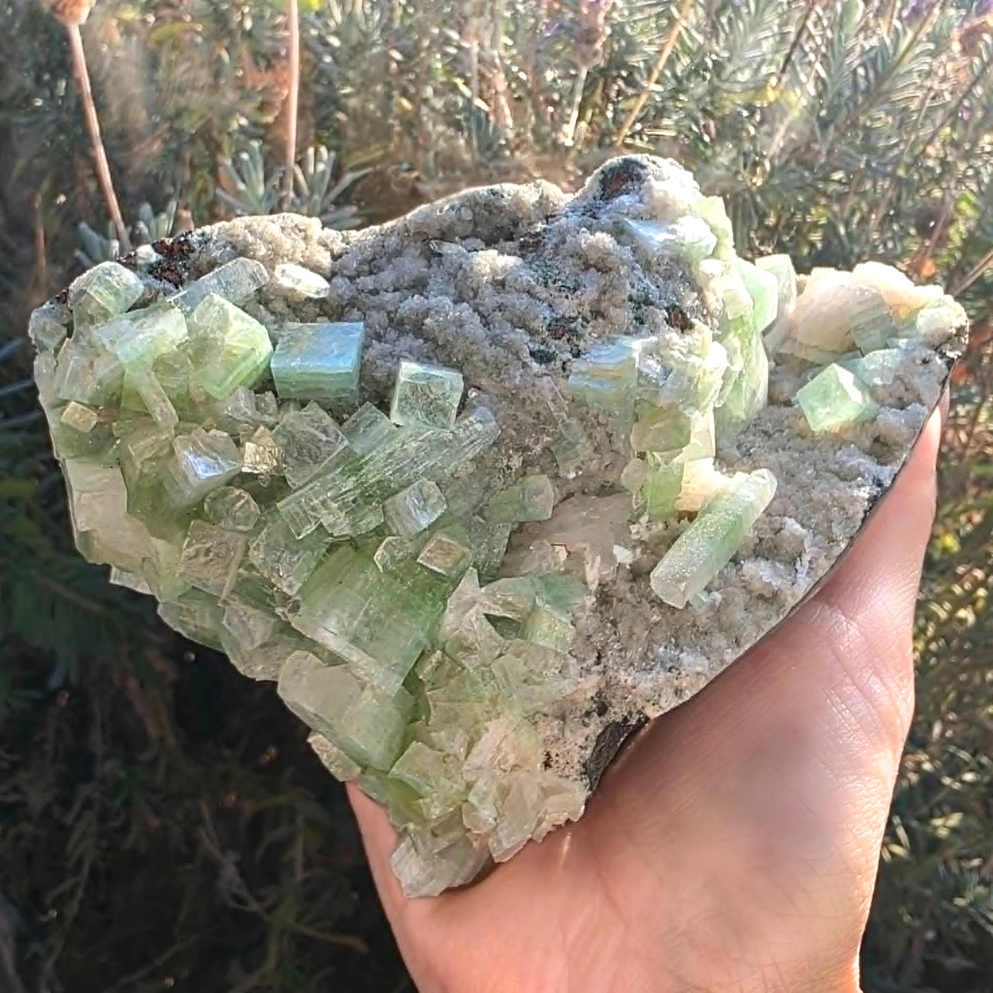 High Grade Rare Green Apophyllite on Chalcedony Display Cluster - 630g