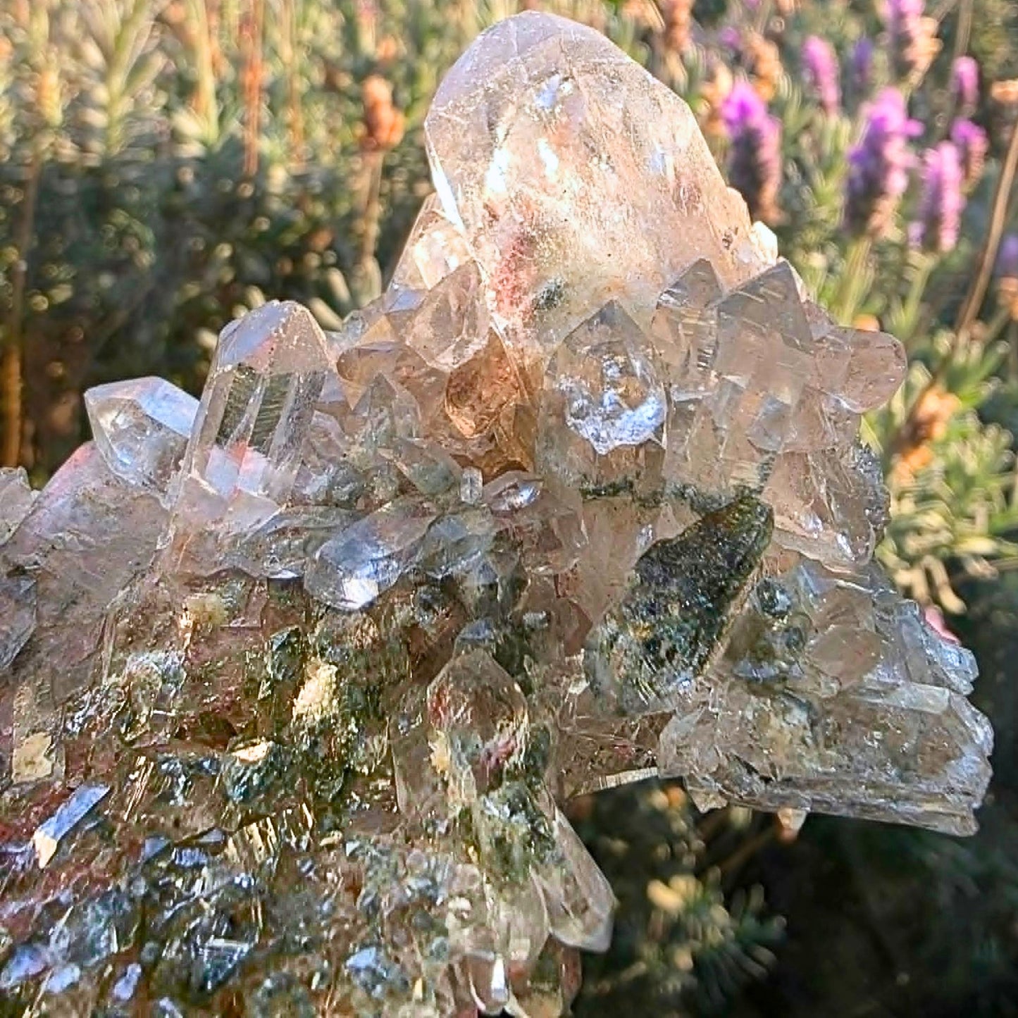 Rare Faden Garden Quartz Cluster with Chlorite & Rainbows