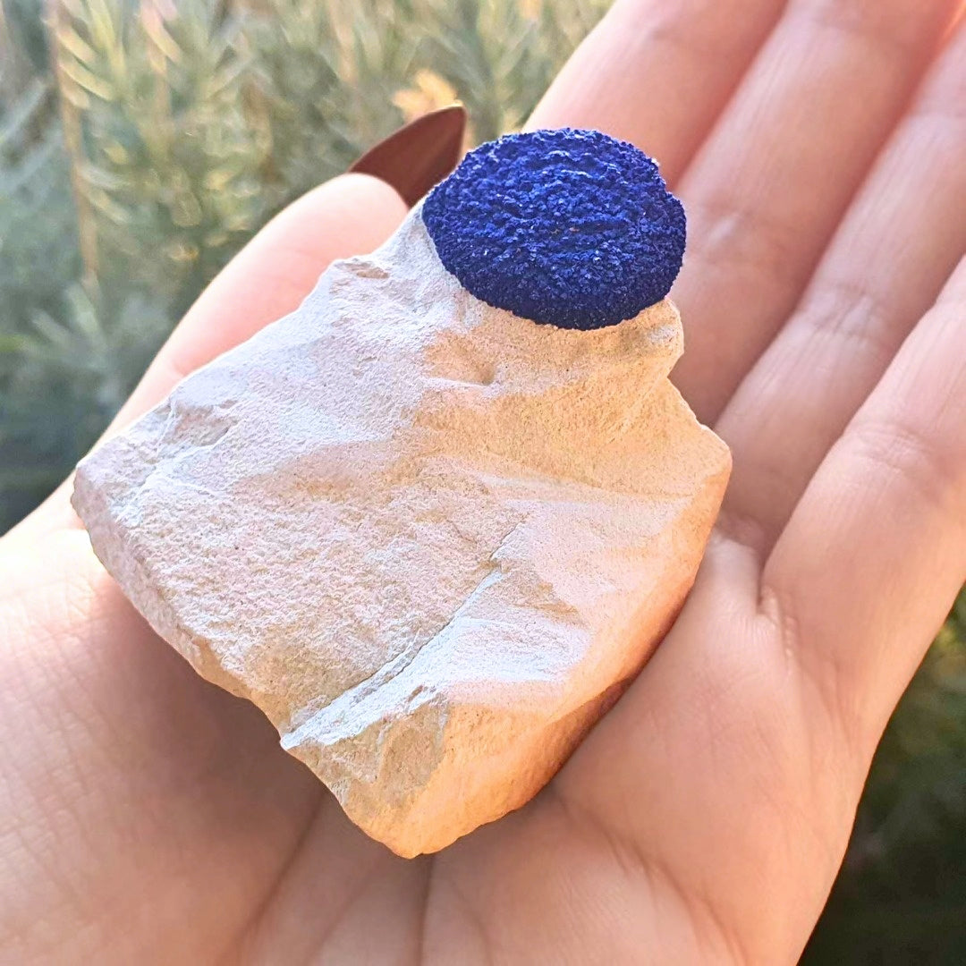 Rare Azurite Sun Cluster - Malbunka Copper Mine in NT