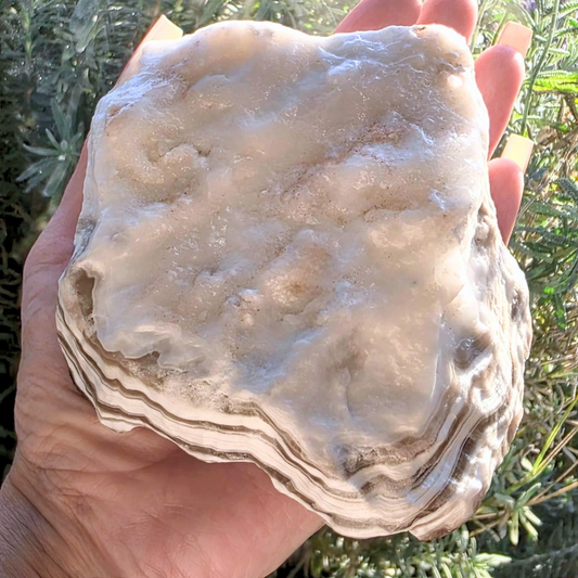 Large Zebra Calcite Raw - 631g