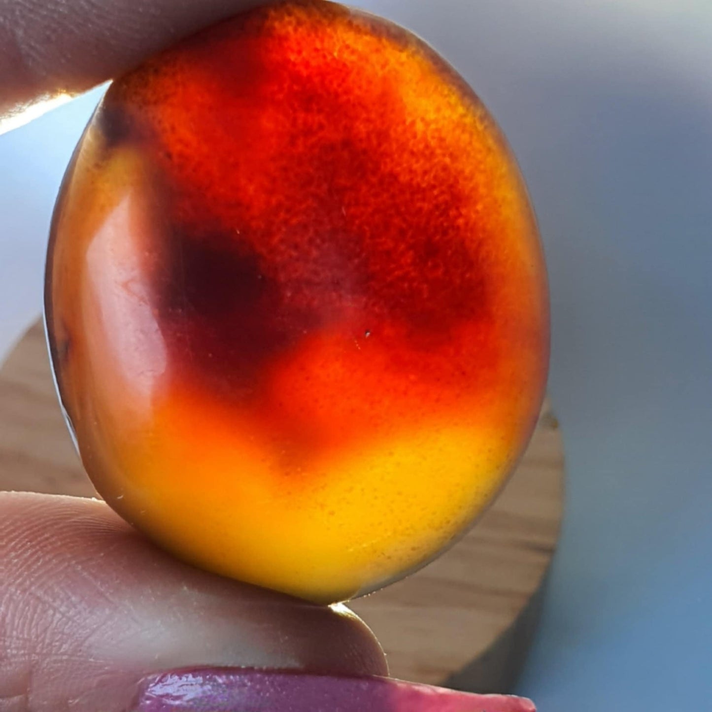 Genuine Fossilised Amber Eggs