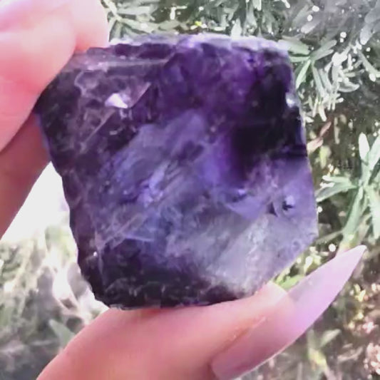 Rare Yindu Cubic Fluorite Cluster with Phantoms & Colour Zoning