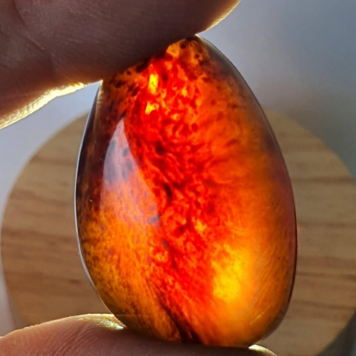 Genuine Fossilised Blue Amber Egg